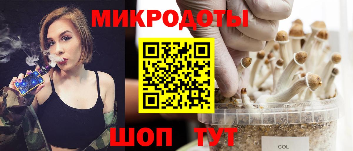 Псилоцибиновые грибы Psilocybe Белорецк